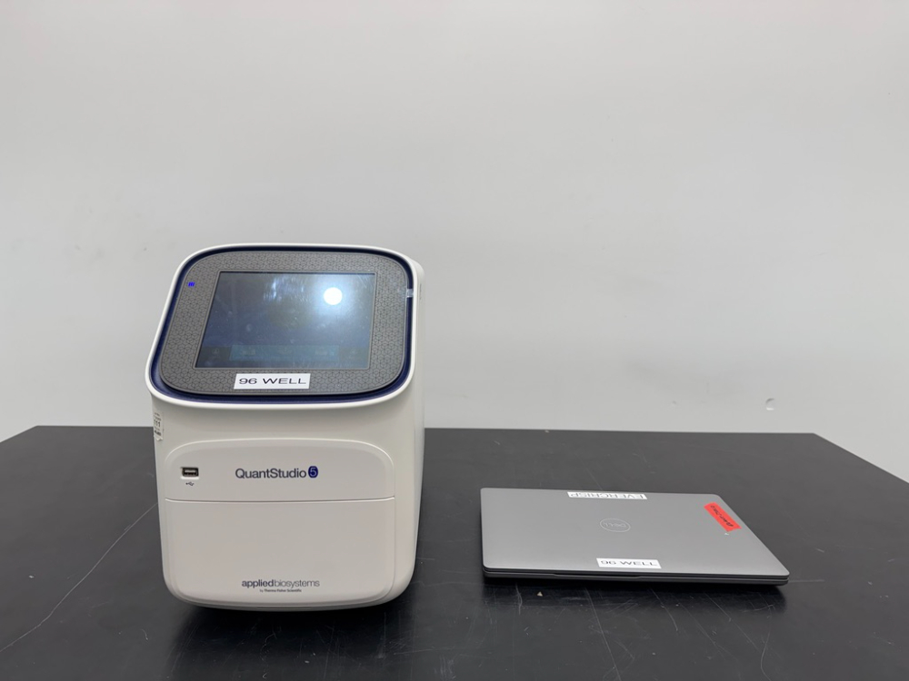 Image of ABI QuantStudio 5 Real Time PCR 96-Well 0.2ml